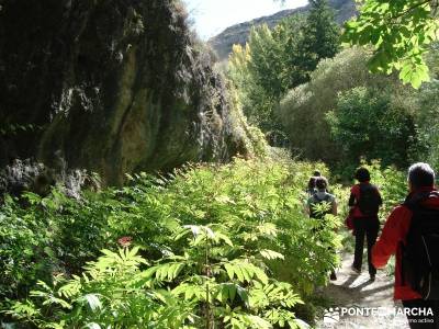 Hoces del Río Duratón - Sepúlveda;viajes senderismo semana santa viajes senderismo agosto reto se